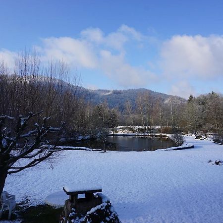 La Maison Et L'Etang - Grand Terrain Prive Vagney Luaran gambar
