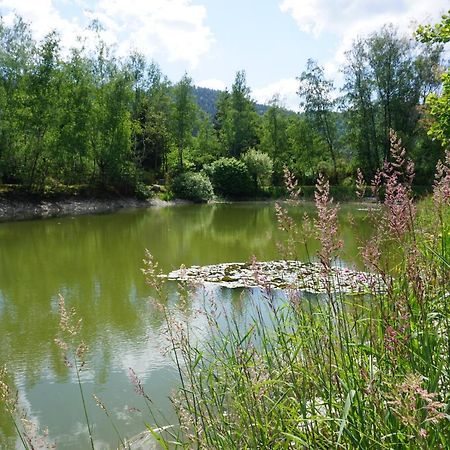 La Maison Et L'Etang - Grand Terrain Prive Vagney Luaran gambar