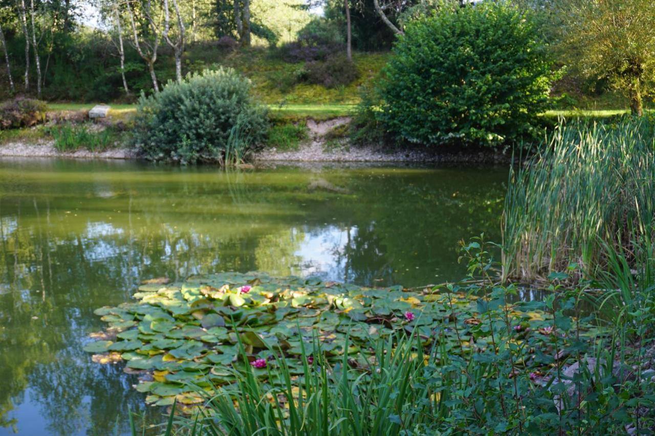 La Maison Et L'Etang - Grand Terrain Prive Vagney Luaran gambar