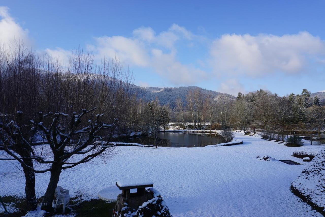 La Maison Et L'Etang - Grand Terrain Prive Vagney Luaran gambar